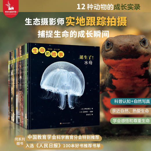 生命的故事（第四辑）（共12册）科普绘本 摄影绘本 商品图1