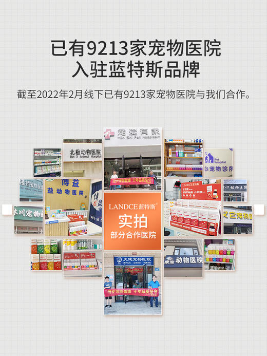 蓝特斯衡宝狗狗调节调理激素平衡宠物内分泌失衡猫咪假孕缓解焦虑 商品图3