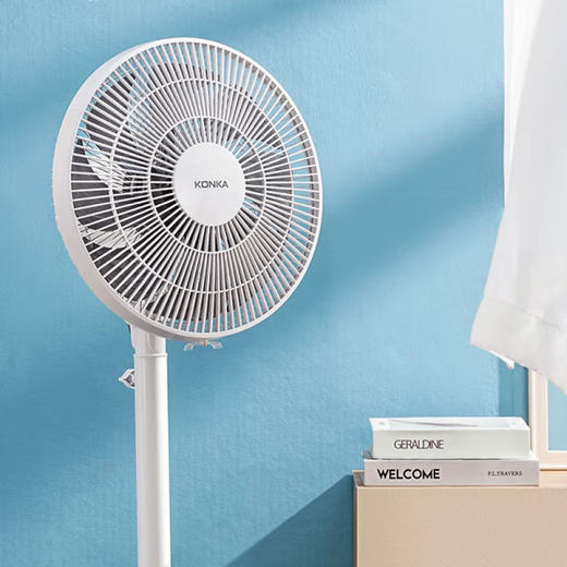 康佳 风扇落地扇 商品图3