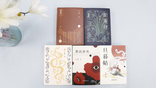 《止庵小写五种》如果你也希望在阅读的路上，有明眼人为你点拨，减少不必要的弯路，那就读它吧！ 商品图0