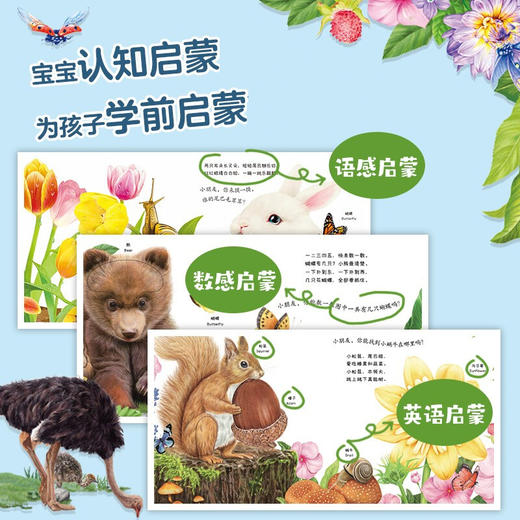 小手摸摸大自然触摸书 3册 0-3岁 张姝凡 著 玩具书 商品图3