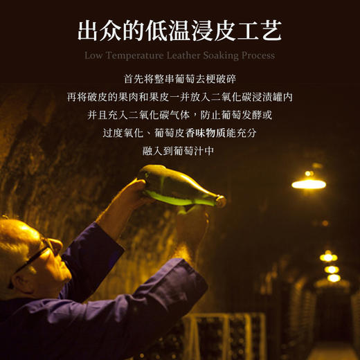 【五大百年家族酿制】菲特瓦霞多丽珍藏干白葡萄酒 AOP等级 13%vol 商品图9