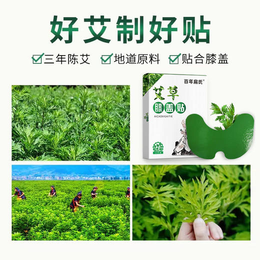 百年扁氏艾草膝盖贴（赠品勿拍） 商品图6