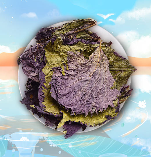 庄民 紫苏叶养生茶滋补品花草茶叶干紫苏泡水 15g紫苏叶 商品图3