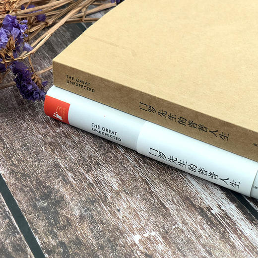 (仓发) 门罗先生的普普人生（套路之外花样“作死”圣经）/江苏凤凰文艺出版社/[爱尔兰]丹·穆尼/9787559439802 商品图9