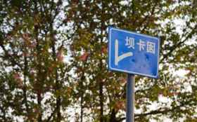  【茶山行】坝卡囡：布朗山班章茶区的一股清流 