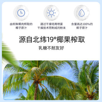 春光食品 海南特产 纯椰子粉308g 无添加 早餐椰奶椰汁粉 独立小包装 商品图1