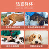 甘血维landce蓝特斯宠物狗狗补血肝精护肝猫咪60ml/150ml 商品缩略图1