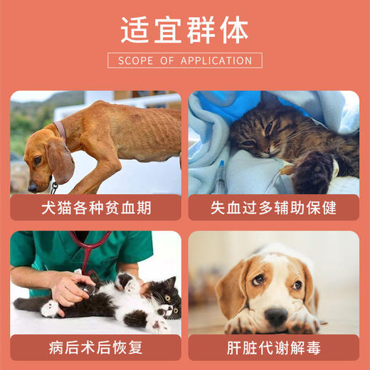 甘血维landce蓝特斯宠物狗狗补血肝精护肝猫咪60ml/150ml 商品图1