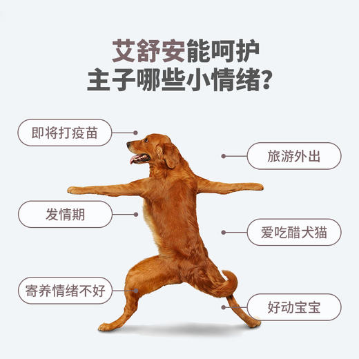 艾舒安犬猫应激情绪舒缓片 宠物降低敏感防乱尿 30片/瓶 商品图1
