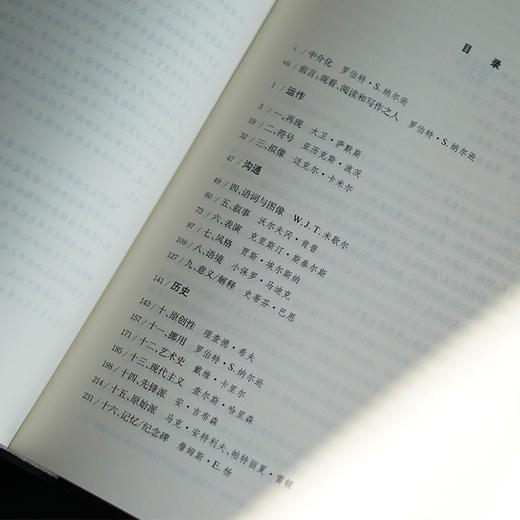 艺术史批评术语 商品图7