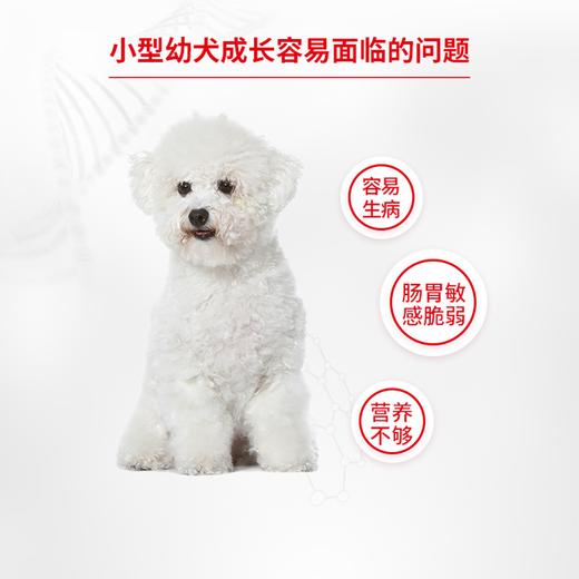 皇家(JSD29)小型幼犬助长全价配方粮 商品图3