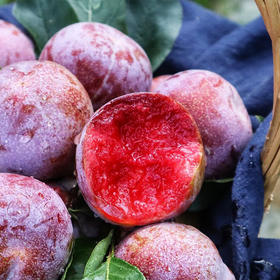 福建芙蓉李 | 山人优选【顺丰发货】酸甜脆爽，果肉艳丽，圆润饱满