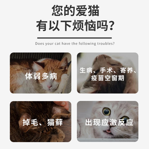 博莱得利猫用转移因子口服液高免因子博莱宠增强免疫力营养口溶液 商品图1
