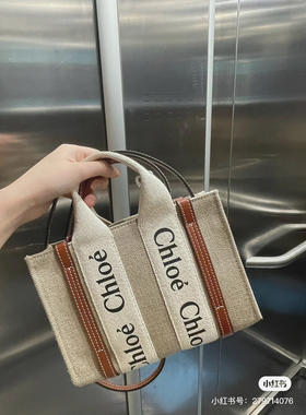 Chloe.woody mini托特-棕色