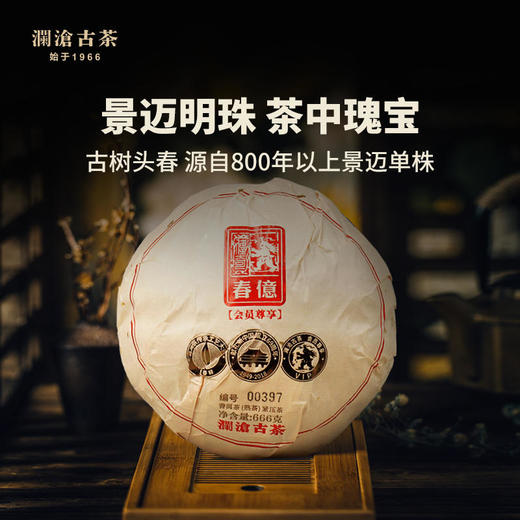 【8月会员日专属】澜沧古茶古茶王国七公主 锦绣芳华-24888礼包 商品图2