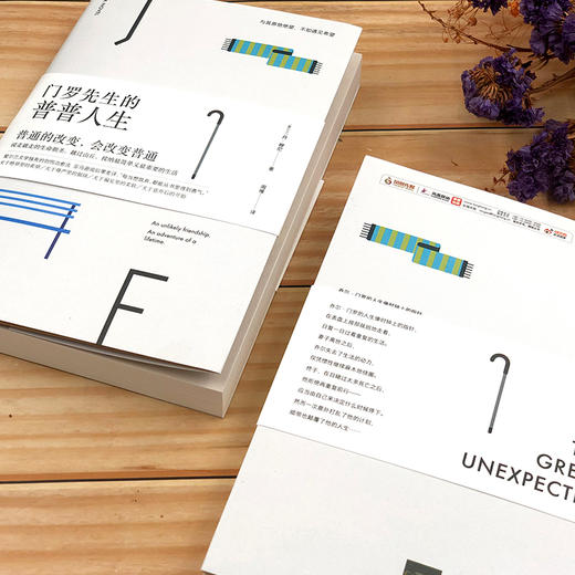 (仓发) 门罗先生的普普人生（套路之外花样“作死”圣经）/江苏凤凰文艺出版社/[爱尔兰]丹·穆尼/9787559439802 商品图6