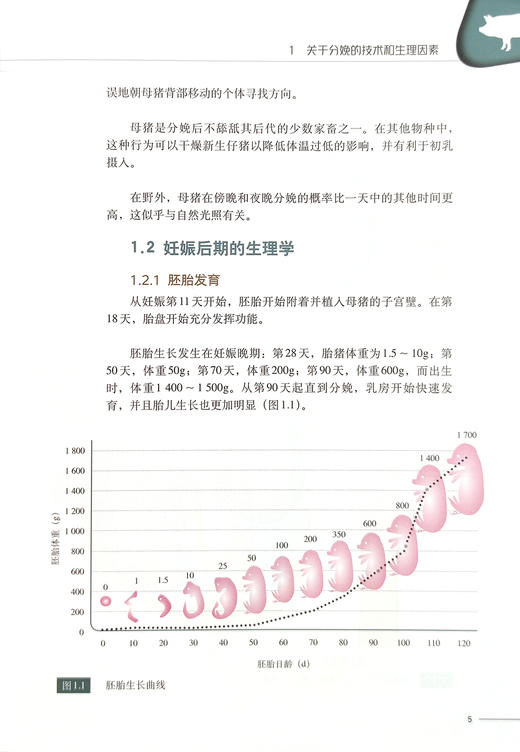 猪场产房生产管理实践I：分娩期管理 商品图3