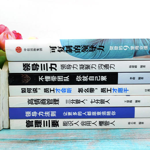 正版7册 樊登可复制的领导力+不懂带团队你就自己累胜在制度赢在执行领导力法则 企业管理心理学狼性管理类书籍畅销书排行榜 商品图2