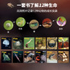 生命的故事（第四辑）（共12册）科普绘本 摄影绘本 商品缩略图2