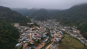  【茶山行】刮风寨为何被称为“易武茶王”？ 