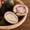 【中秋好“食”节】会东七彩洋芋5斤/10斤装 商品缩略图1
