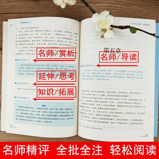 语文名师吴海燕精评 呼兰河传 商品图4