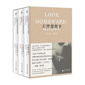 天使望故乡 托马斯·沃尔夫 著 小说