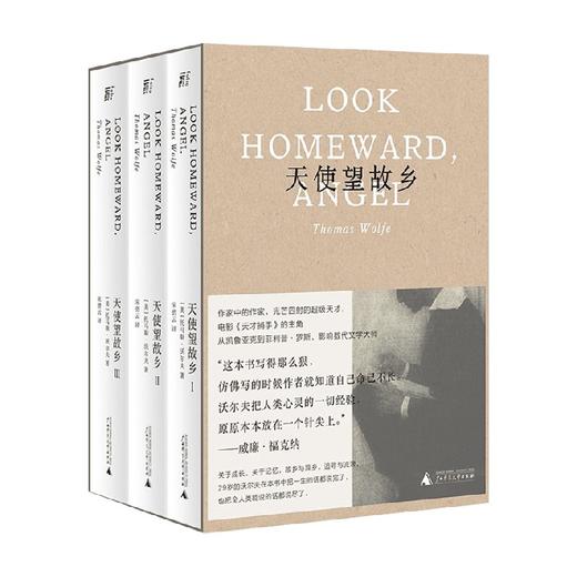 天使望故乡 托马斯·沃尔夫 著 小说 商品图0