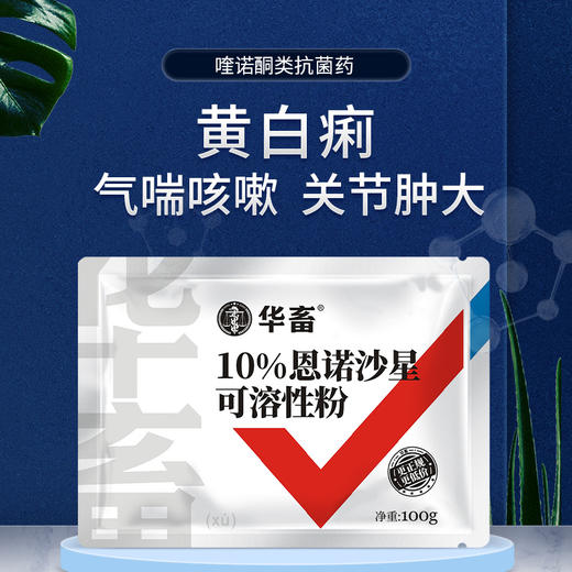 华畜10%恩诺沙星可溶性粉 黄白痢 支原体感染 进口溶剂 吸收更好猪牛禽水产通用 商品图2