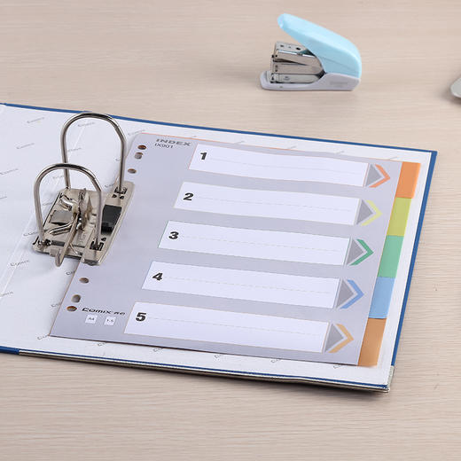 齐心 IX901 易分类 五色索引纸 A4 11孔 PP 商品图2