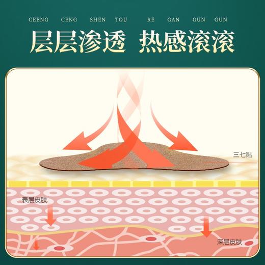 百年扁氏三七贴 商品图4