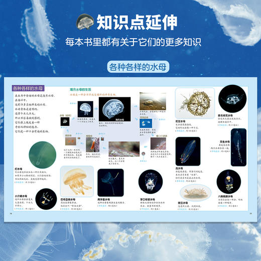 生命的故事（第四辑）（共12册）科普绘本 摄影绘本 商品图5