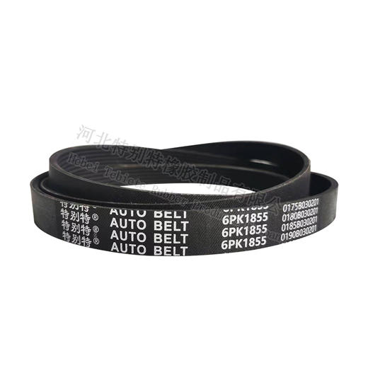 特别特6pk1855皮带 解放轻卡（61855） 商品图0