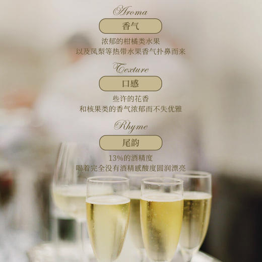 【五大百年家族酿制】菲特瓦霞多丽珍藏干白葡萄酒 AOP等级 13%vol 商品图5