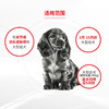 皇家(JLD30)大型幼犬助长全价配方粮 商品缩略图2