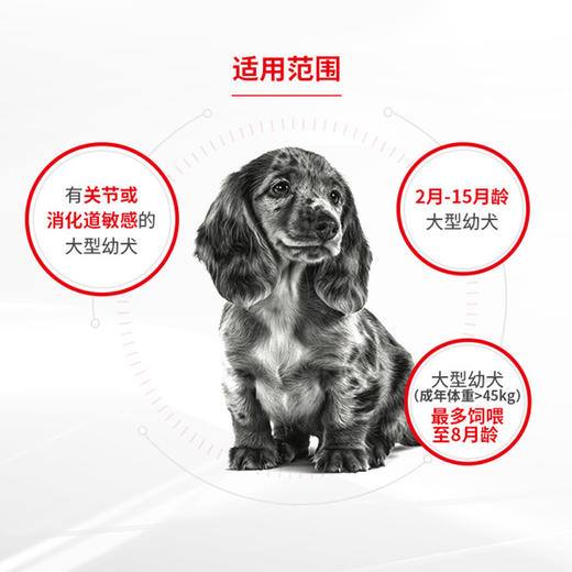 皇家(JLD30)大型幼犬助长全价配方粮 商品图2