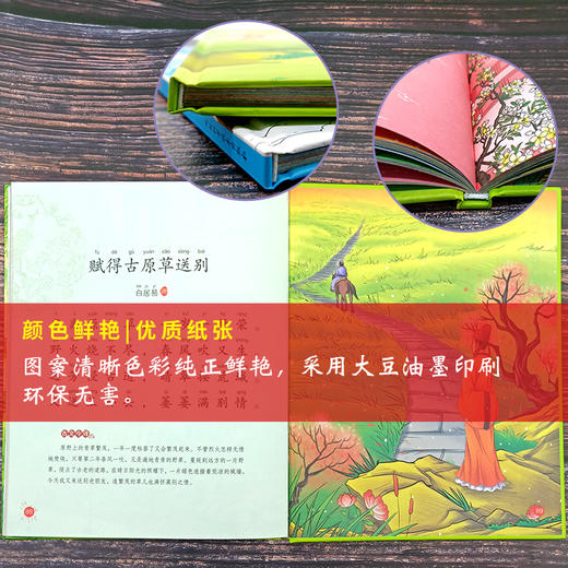 (仓发) 幼儿学古诗全2册有声伴读绘本 卡通动漫图画书国学诗歌赏析 幼儿早教启蒙国学经典书籍 儿童益智学前图书籍 3-6-9岁幼小衔接教材 儿童文学/河/9787571702663 商品图4