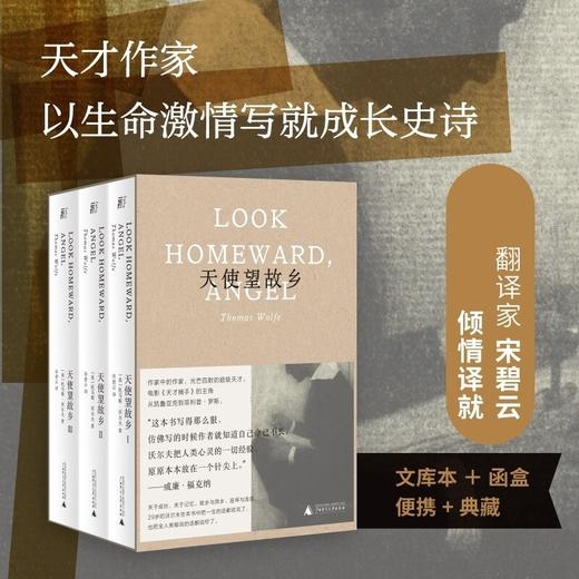 天使望故乡 托马斯·沃尔夫 著 小说 商品图2