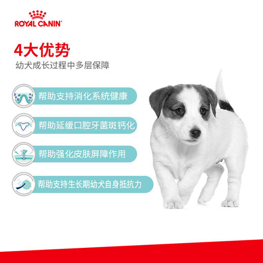 皇家(JSD29)小型幼犬助长全价配方粮 商品图1