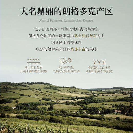 【五大百年家族酿制】菲特瓦霞多丽珍藏干白葡萄酒 AOP等级 13%vol 商品图2