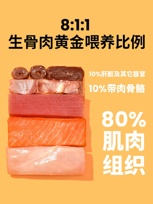 CATLET 12罐 生骨肉猫罐头全猫期主食罐 全价营养无所补能 商品图2