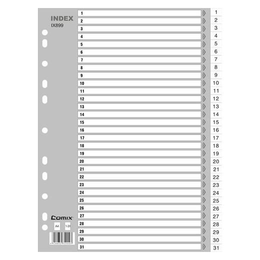 齐心 IX899 易分类 月度索引纸 A4 31页1-31 11孔 PP 商品图0