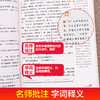 语文名师汪晓风精评 童年 商品缩略图2