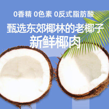 春光食品 海南特产 纯椰子粉308g 无添加 早餐椰奶椰汁粉 独立小包装 商品图2