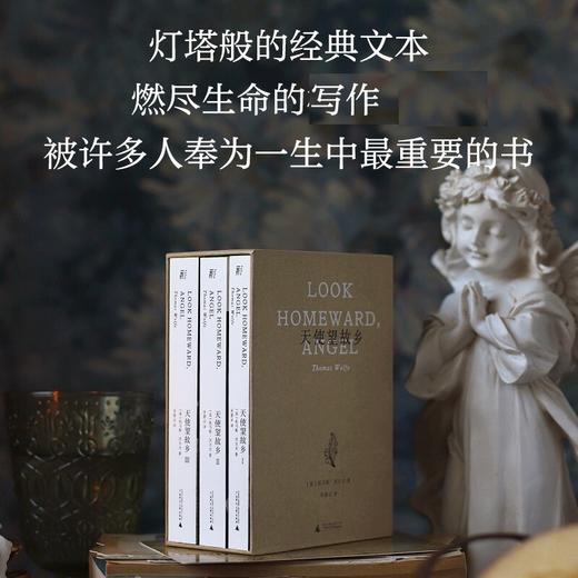 天使望故乡 托马斯·沃尔夫 著 小说 商品图1