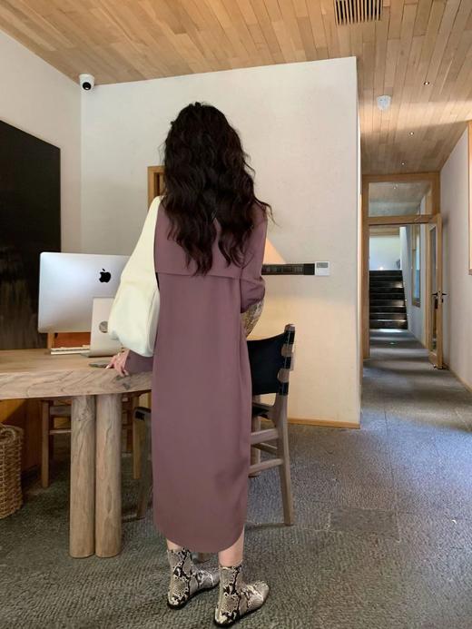 （清仓现货）【社群供A】早秋新款女装连衣裙气质长款衬衫裙涤纶 商品图3