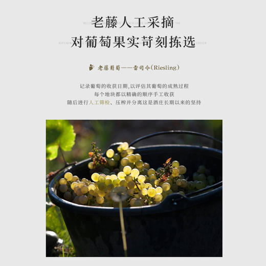 【阿尔萨斯法定AOC】法国盖勒世家特酿雷司令白葡萄酒 法国原瓶进口 13%vol 商品图5