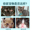 百灵金方明目液抑菌液宠物眼药水【猫咪/狗狗】用角膜结膜炎止痒消肿液15ml 商品缩略图2
