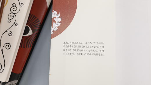 《止庵小写五种》如果你也希望在阅读的路上，有明眼人为你点拨，减少不必要的弯路，那就读它吧！ 商品图9